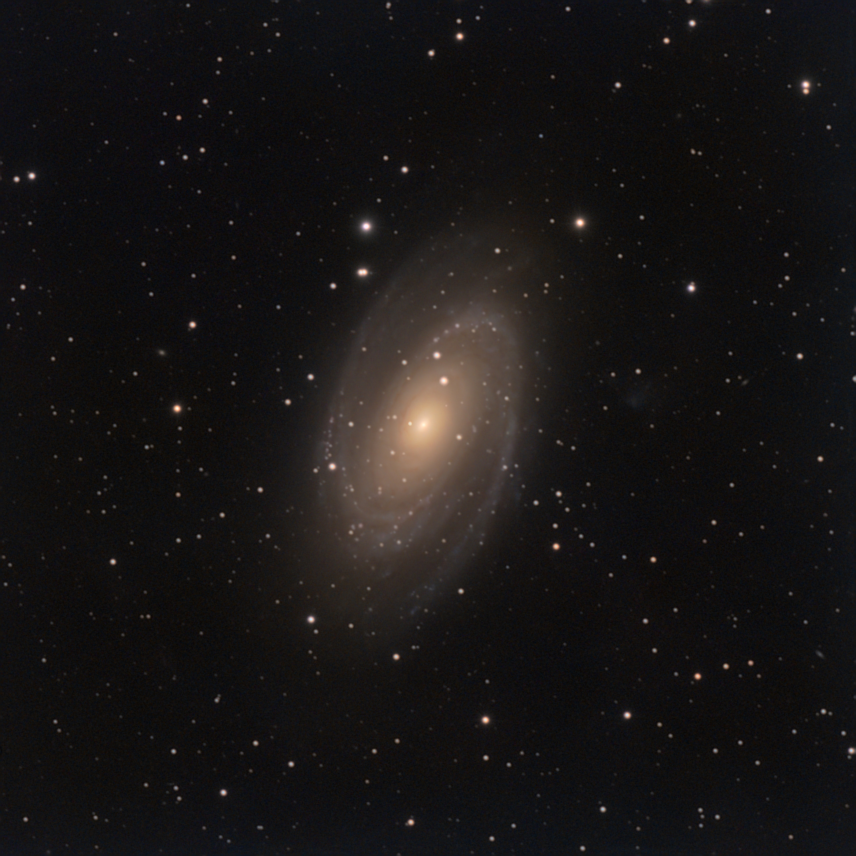 M 81