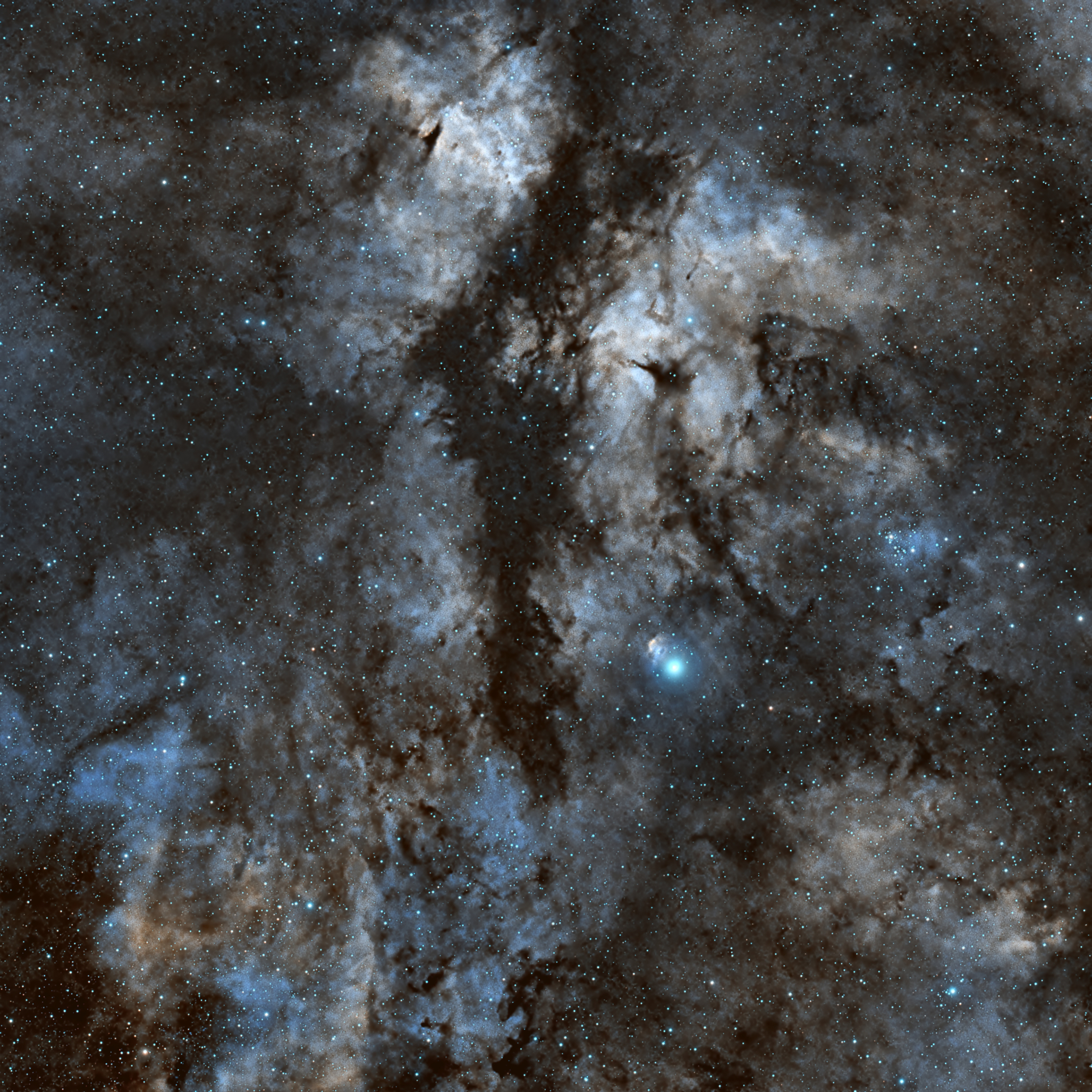 IC 1318 Sadr Region