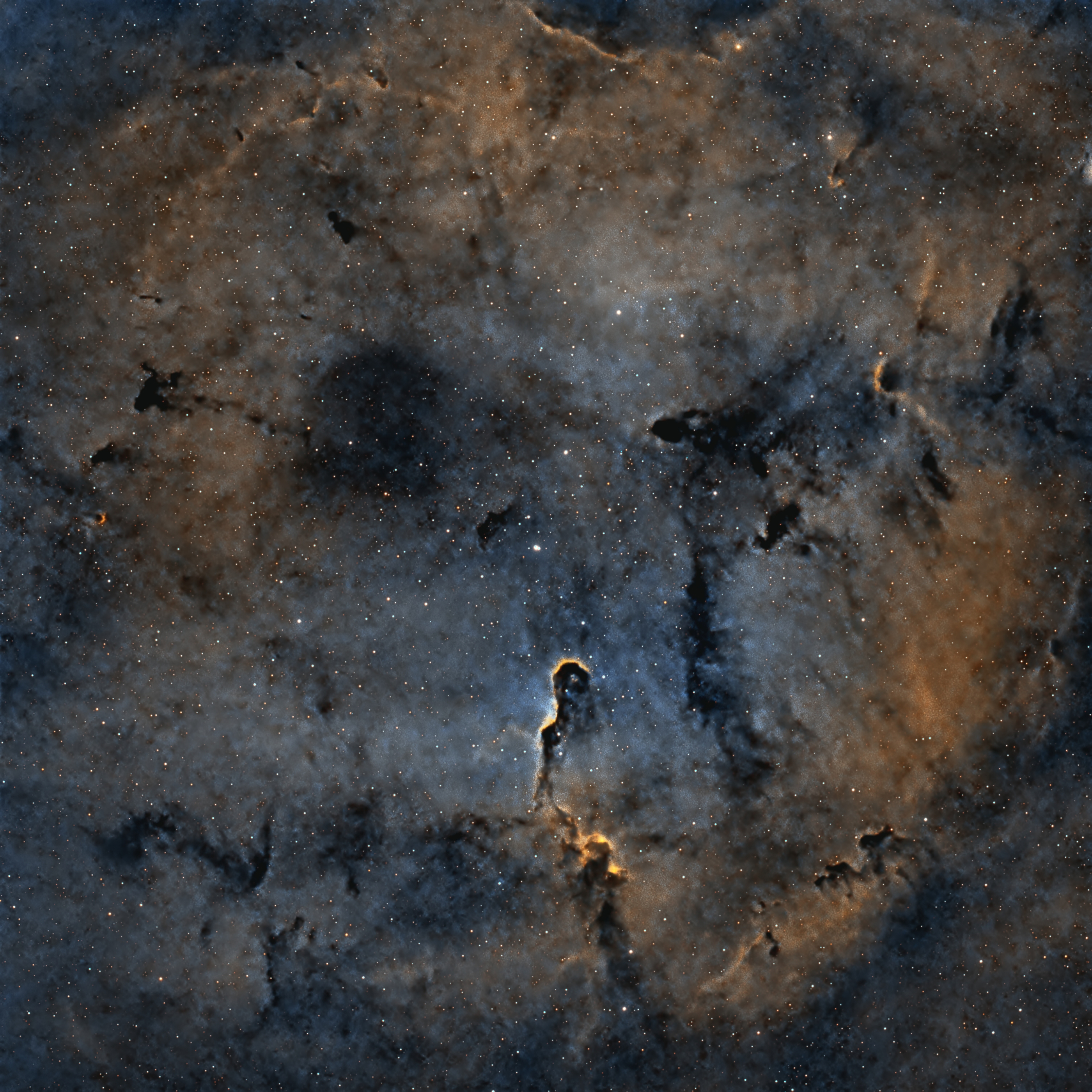 IC 1396 Elephant's Trunk Nebula